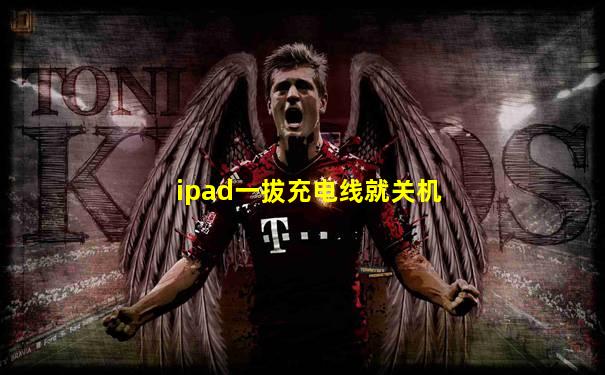ipad一拔充电线就关机