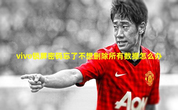 vivo锁屏密码忘了不想删除所有数据怎么办