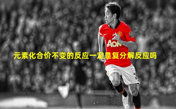 元素化合价不变的反应一定是复分解反应吗