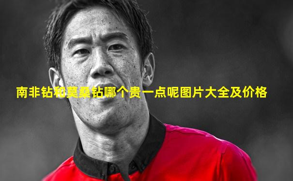 南非钻和莫桑钻哪个贵一点呢图片大全及价格