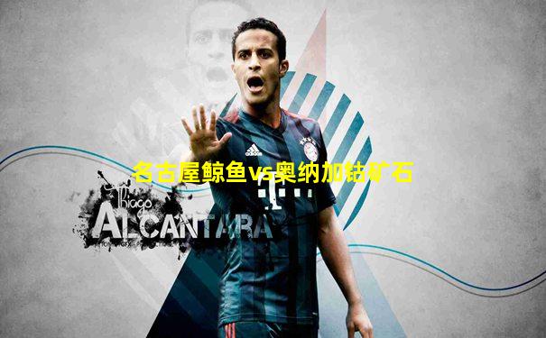 名古屋鲸鱼vs奥纳加钴矿石