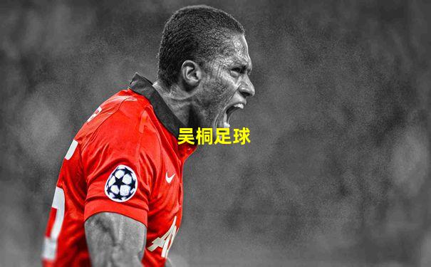 吴桐足球