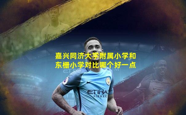 嘉兴同济大学附属小学和东栅小学对比哪个好一点