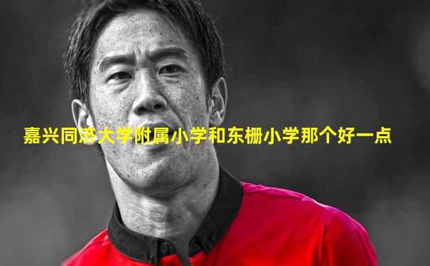 嘉兴同济大学附属小学和东栅小学那个好一点