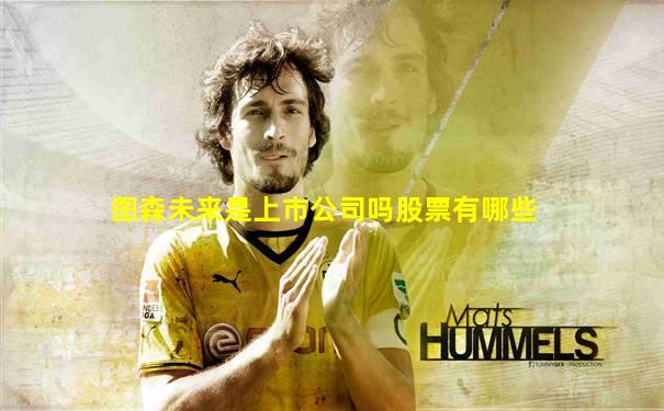 图森未来是上市公司吗股票有哪些