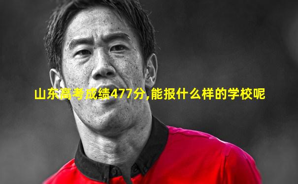 山东高考成绩477分,能报什么样的学校呢