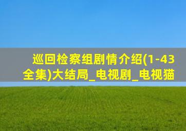 巡回检察组剧情介绍(1-43全集)大结局_电视剧_电视猫