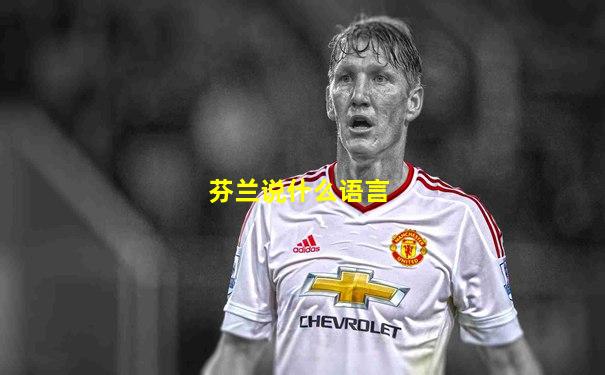 芬兰说什么语言
