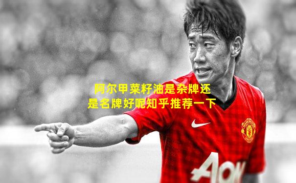 阿尔甲菜籽油是杂牌还是名牌好呢知乎推荐一下