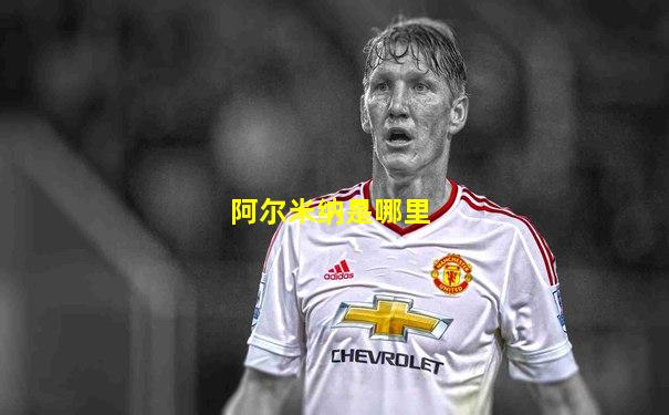 阿尔米纳是哪里