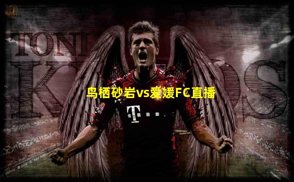 鸟栖砂岩vs爱媛FC直播