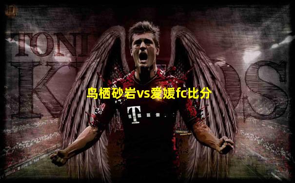 鸟栖砂岩vs爱媛fc比分