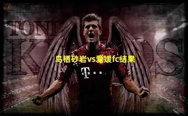 鸟栖砂岩vs爱媛fc结果