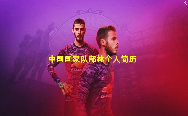 中国国家队郜林个人简历