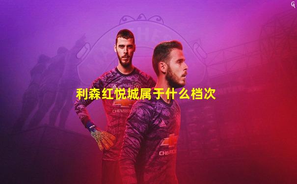 利森红悦城属于什么档次
