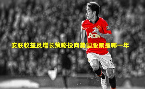 安联收益及增长策略投向美国股票是哪一年