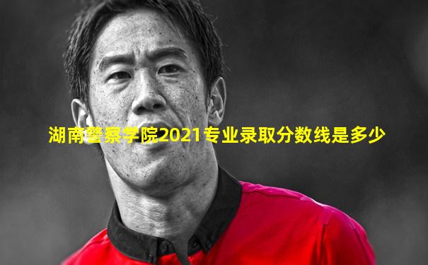湖南警察学院2021专业录取分数线是多少