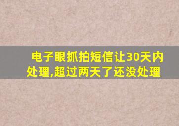 电子眼抓拍短信让30天内处理,超过两天了还没处理