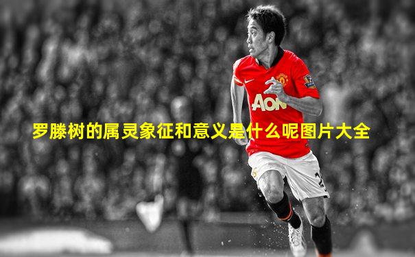 罗滕树的属灵象征和意义是什么呢图片大全