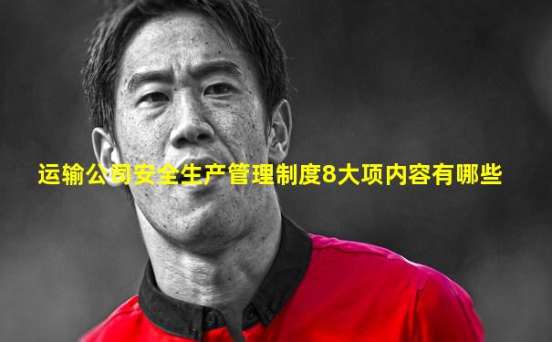 运输公司安全生产管理制度8大项内容有哪些