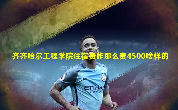 齐齐哈尔工程学院住宿费咋那么贵4500啥样的